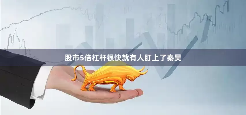 股市5倍杠杆很快就有人盯上了秦昊