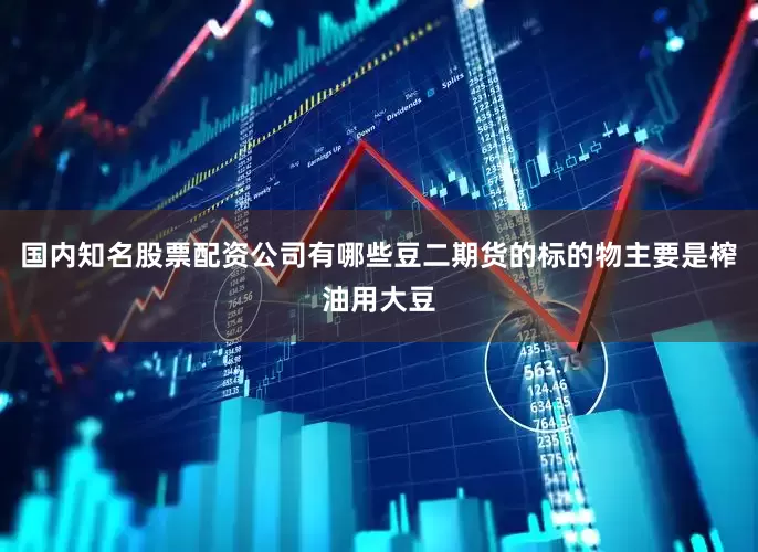 国内知名股票配资公司有哪些豆二期货的标的物主要是榨油用大豆